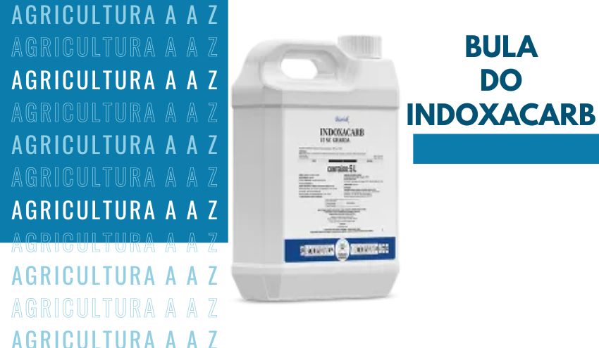 Leia mais sobre o artigo Bula do Indoxacarb CCAB 150 SC CI: informações completas