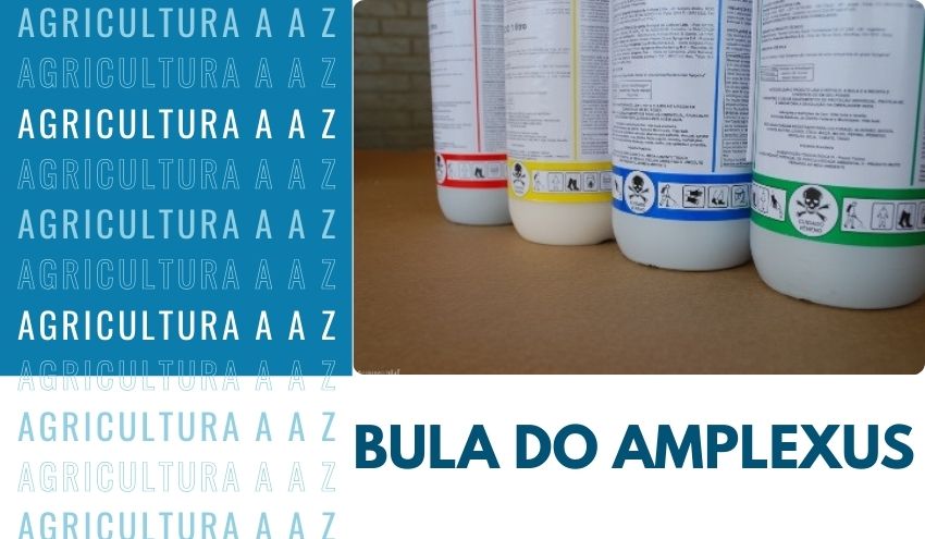 Leia mais sobre o artigo Bula do Amplexus CI: informações completas