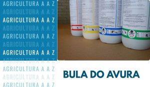 Leia mais sobre o artigo Bula do Avura CI: informações completas