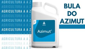 Leia mais sobre o artigo Bula do Azimut (Custodia) CI: informações completas