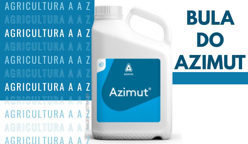 Leia mais sobre o artigo Bula do Azimut (Custodia) CI: informações completas