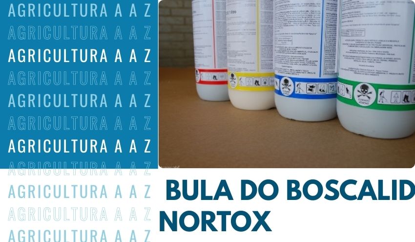 Leia mais sobre o artigo Bula do Boscalid Nortox 500 WG CI: informações completas