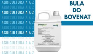 Leia mais sobre o artigo Bula do Bovenat CI: informações completas