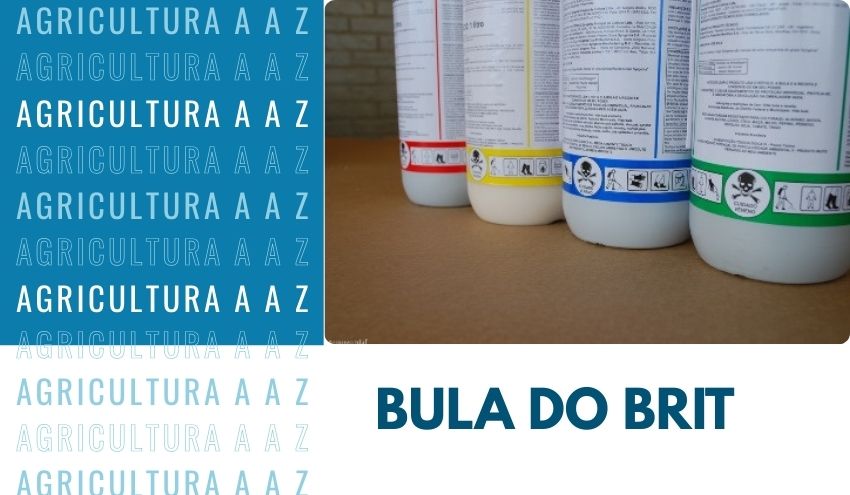 Leia mais sobre o artigo Bula do Brit CI: informações completas