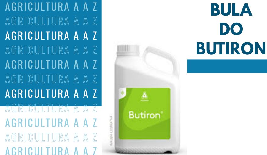 Leia mais sobre o artigo Bula do Butiron CI: informações completas