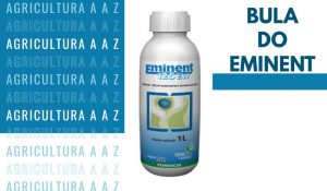 Leia mais sobre o artigo Bula do Eminent Gold CI: informações completas sobre Tetraconazol