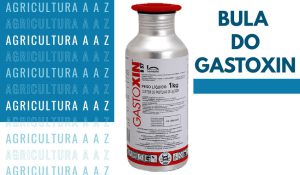 Leia mais sobre o artigo Bula do Gastoxin CI: informações completas