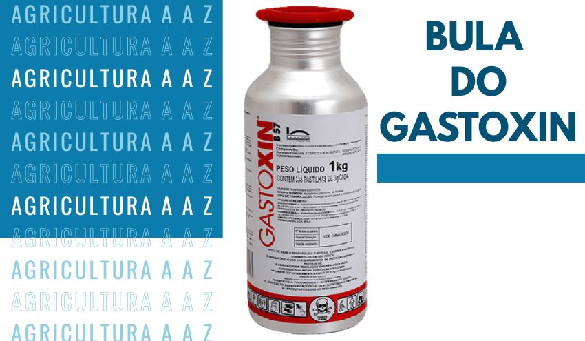 Leia mais sobre o artigo Bula do Gastoxin CI: informações completas