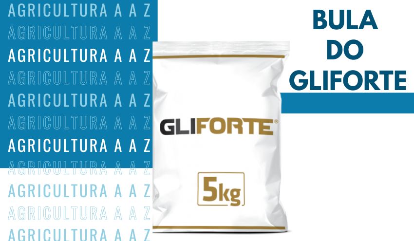 Leia mais sobre o artigo Bula do Gliforte CI: informações completas