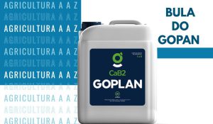 Leia mais sobre o artigo Bula do Gopan CI: informações completas