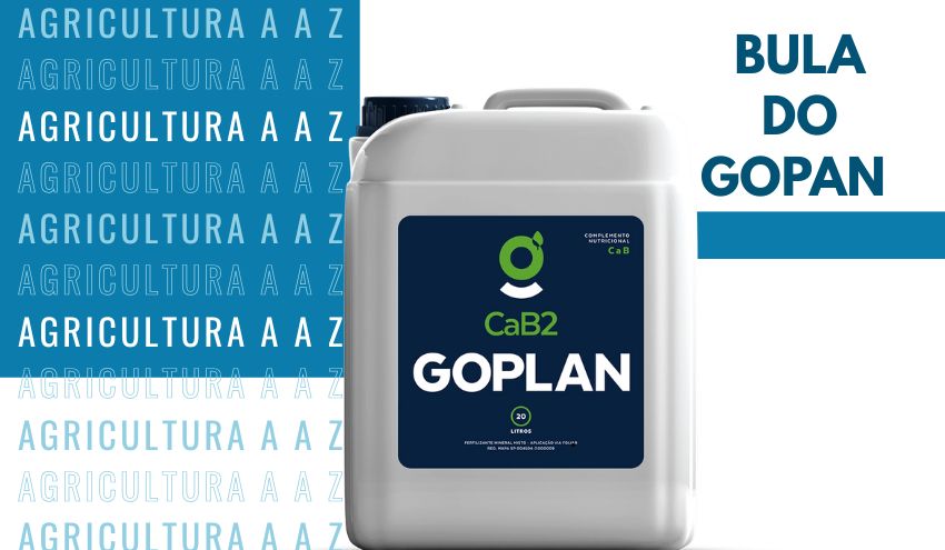 Leia mais sobre o artigo Bula do Gopan CI: informações completas