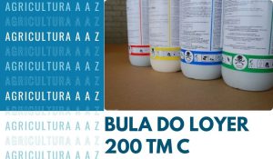 Leia mais sobre o artigo Bula do Loyer 200 TM CI: informações completas