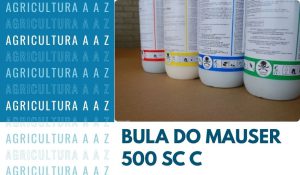 Leia mais sobre o artigo Bula do Mauser 500 SC CI: informações completas