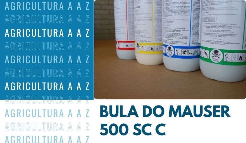 Leia mais sobre o artigo Bula do Mauser 500 SC CI: informações completas