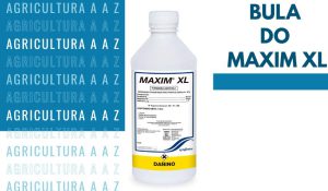 Leia mais sobre o artigo Bula do Maxim XL CI: informações completas