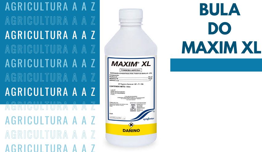 Leia mais sobre o artigo Bula do Maxim XL CI: informações completas