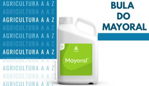 Leia mais sobre o artigo Bula do Mayoral CI: informações completas