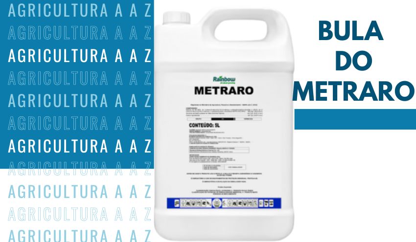 Leia mais sobre o artigo Bula do Metraro CI: informações completas