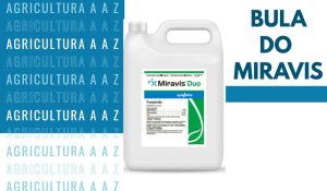 Leia mais sobre o artigo Bula do Miravis Duo CI: informações completas