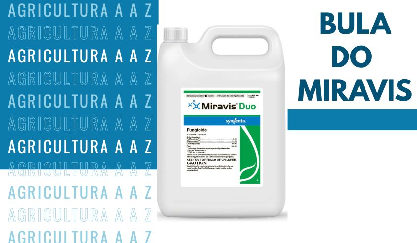 Leia mais sobre o artigo Bula do Miravis Duo CI: informações completas