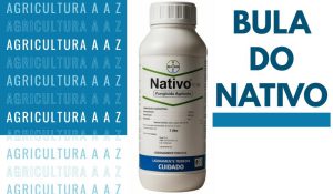 Leia mais sobre o artigo Bula do Nativo CI: informações completas