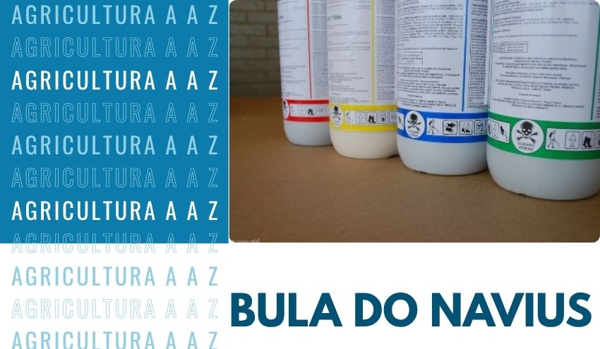 Leia mais sobre o artigo Bula do Navius BR CI: informações completas