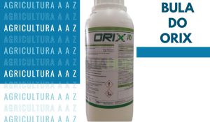 Leia mais sobre o artigo Bula do Orix CI: informações completas