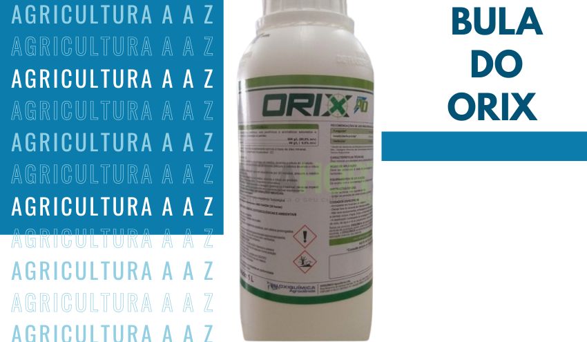 Leia mais sobre o artigo Bula do Orix CI: informações completas