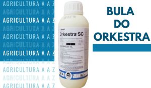 Leia mais sobre o artigo Bula do Orkestra SC CI: informações completas