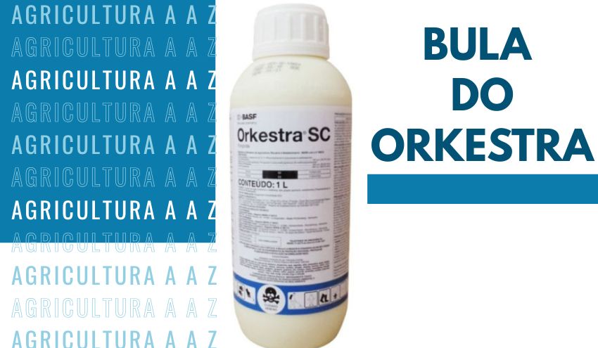 Leia mais sobre o artigo Bula do Orkestra SC CI: informações completas