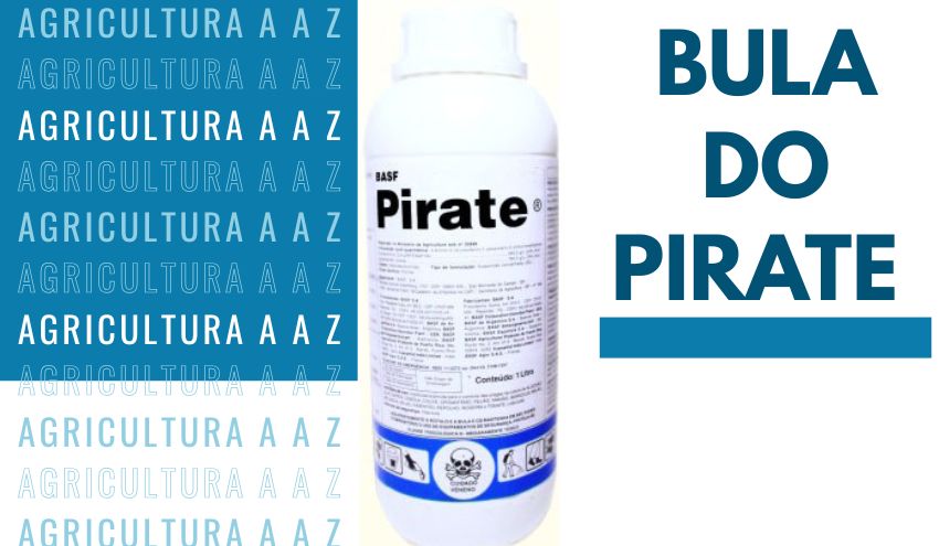 Leia mais sobre o artigo Bula do Pirate CI: informações completas