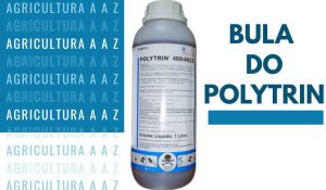 Leia mais sobre o artigo Bula do Polytrin CI (Stadio): informações completas