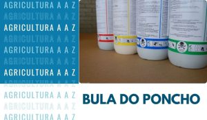 Leia mais sobre o artigo Bula do Poncho CI: informações completas