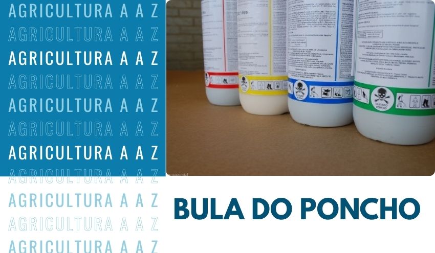 Leia mais sobre o artigo Bula do Poncho CI: informações completas