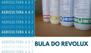 Leia mais sobre o artigo Bula do Revolux CI: informações completas