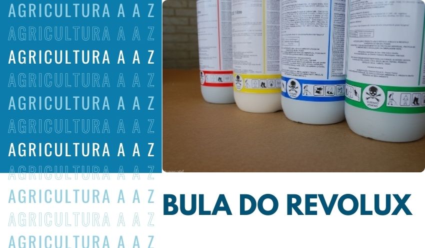Leia mais sobre o artigo Bula do Revolux CI: informações completas