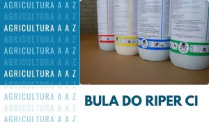 Leia mais sobre o artigo Bula do Riper CI: informações completas