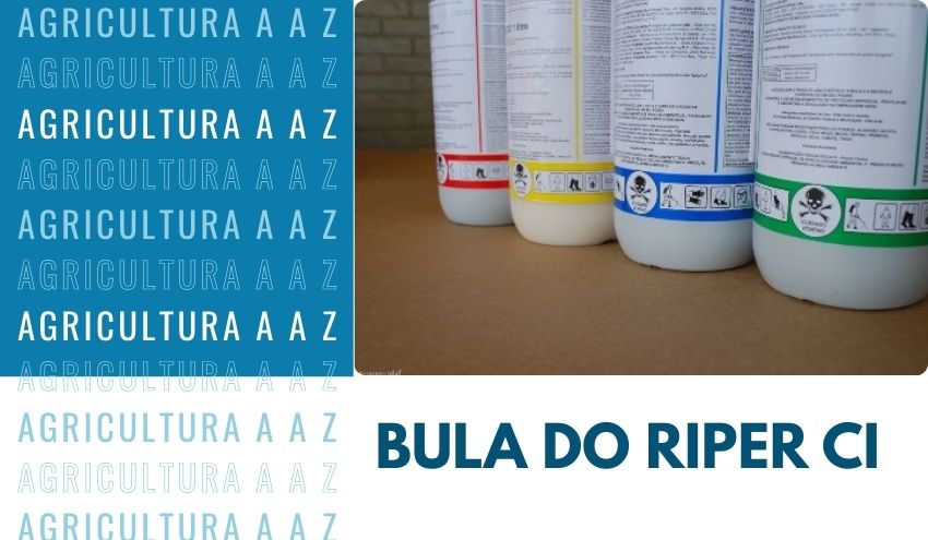 Leia mais sobre o artigo Bula do Riper CI: informações completas