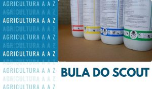Leia mais sobre o artigo Bula do Scout CI: informações completas