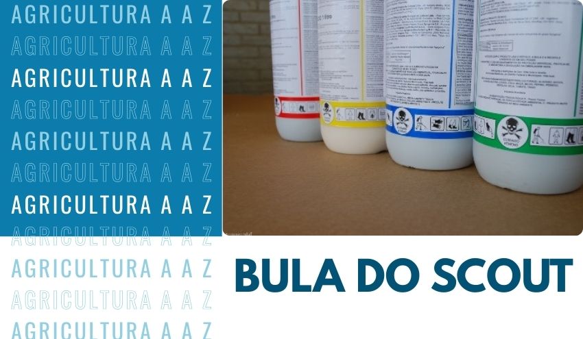Leia mais sobre o artigo Bula do Scout CI: informações completas