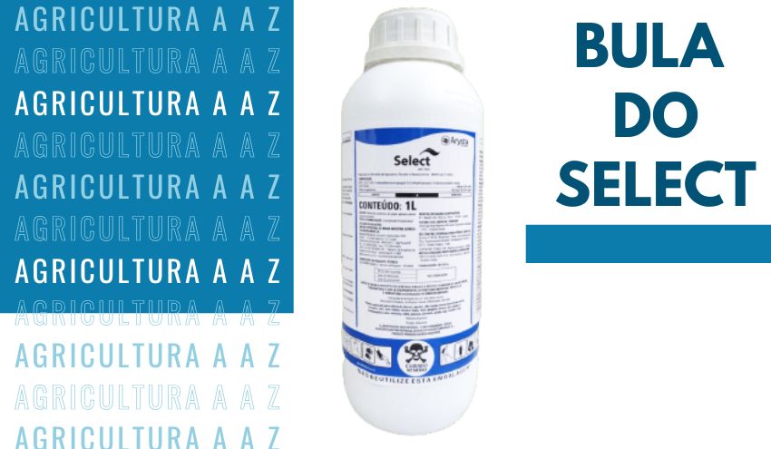 Leia mais sobre o artigo Bula do Select 240 EC CI: informações completas