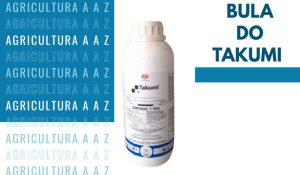 Leia mais sobre o artigo Bula do Takumi CI: informações completas