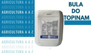 Leia mais sobre o artigo Bula do Topinam / Baihta CI: informações completas