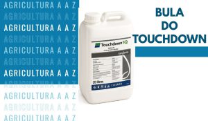 Leia mais sobre o artigo Bula do Touchdown CI: informações completas