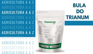 Leia mais sobre o artigo Bula do Trianum WG CI: informações completas