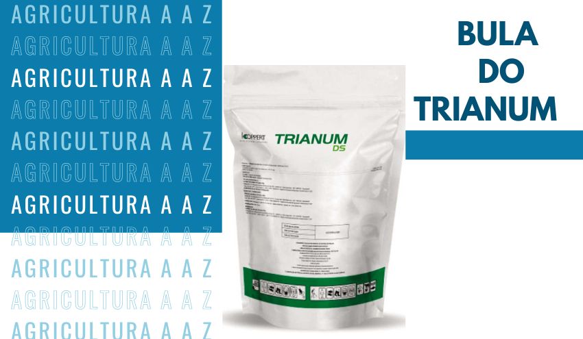 Leia mais sobre o artigo Bula do Trianum WG CI: informações completas