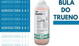 Leia mais sobre o artigo Bula do Trueno XT-S: composição, doses, aplicação e cuidados