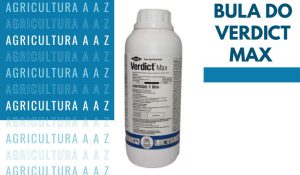 Leia mais sobre o artigo Bula do Verdict Max CI: informações completas