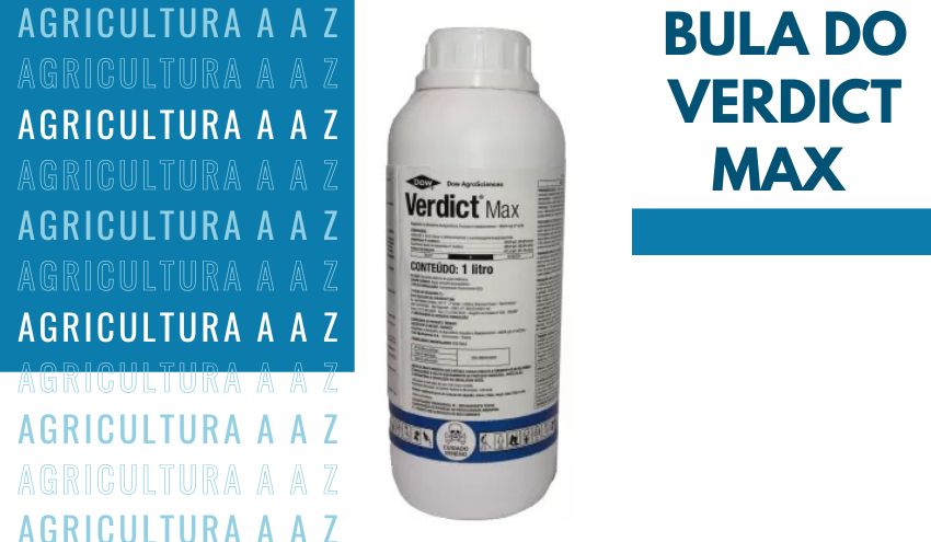 Leia mais sobre o artigo Bula do Verdict Max CI: informações completas