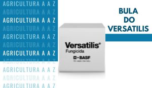 Leia mais sobre o artigo Bula do Versatilis / Steel CI: informações completas